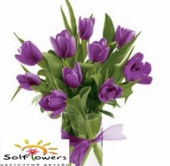 Тюльпаны Фиолетовые